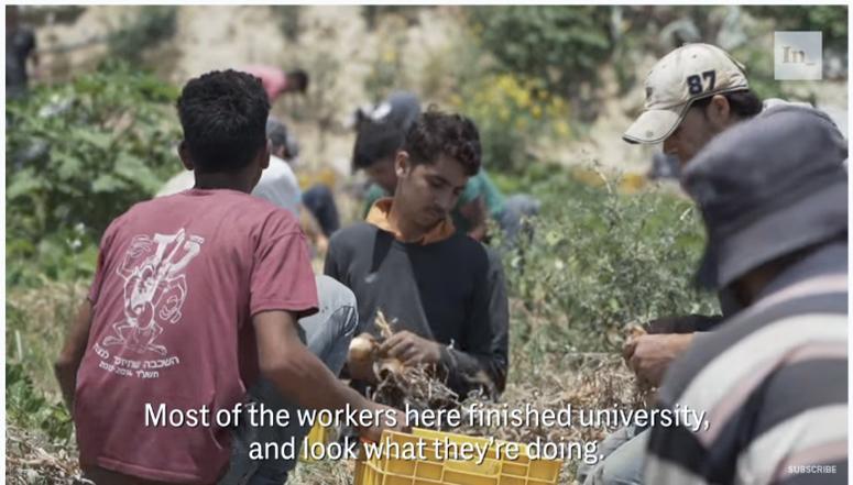 Die meisten Arbeiter hier haben das Universitätsstudium beendet, und schauen Sie, was sie tun Gaza Farmers Struggle Between Economic Squeeze and Israeli Sniper Fire