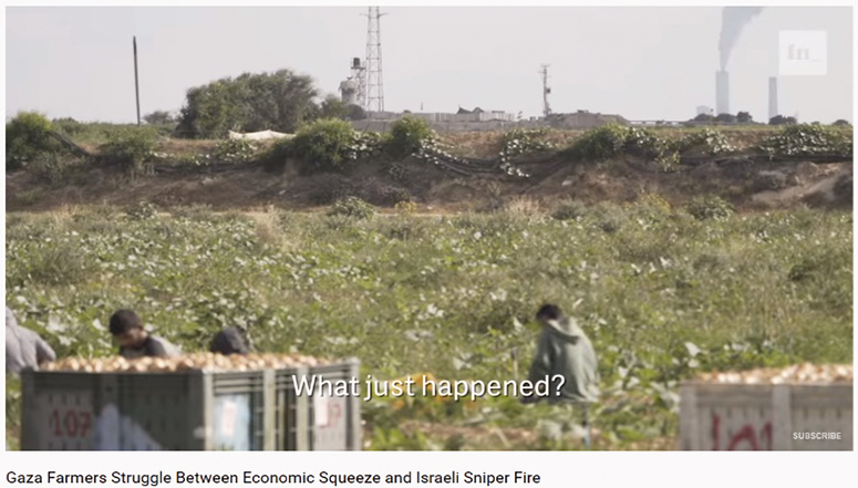 Was ist gerade passiert…?? Gaza Farmers Struggle Between Economic Squeeze and Israeli Sniper Fire