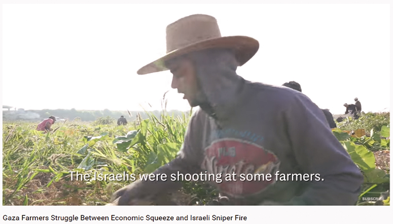 Die Israelis haben auf einige Bauern geschossen. Gaza Farmers Struggle Between Economic Squeeze and Israeli Sniper Fire