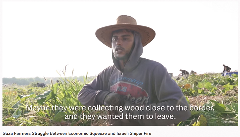 Vielleicht haben sie nahe der Grenze Holz gesammelt und die Israelis wollten, dass sie verschwinden Gaza Farmers Struggle Between Economic Squeeze and Israeli Sniper Fire