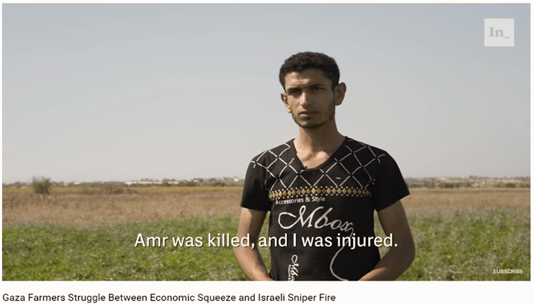 Amr wurden getötet, und ich wurde verletzt Gaza Farmers Struggle Between Economic Squeeze and Israeli Sniper Fire