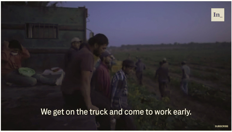 Wir steigen auf den Lastwagen und kommen früh am Morgen zur Arbeit. Gaza Farmers Struggle Between Economic Squeeze and Israeli Sniper Fire