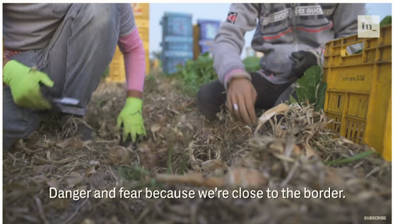 Gefahr und Furcht, weil wir uns nahe der Grenze befinden. Gaza Farmers Struggle Between Economic Squeeze and Israeli Sniper Fire